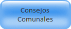 Consejos<br />Comunales